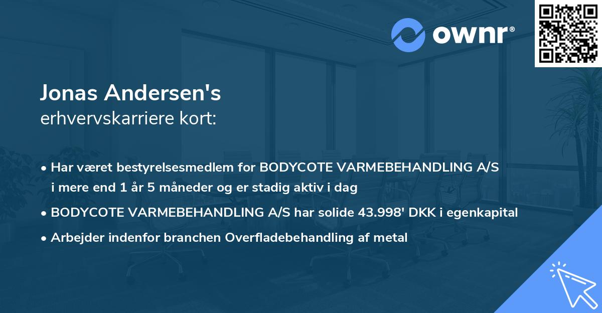 Jonas Andersen's erhvervskarriere kort