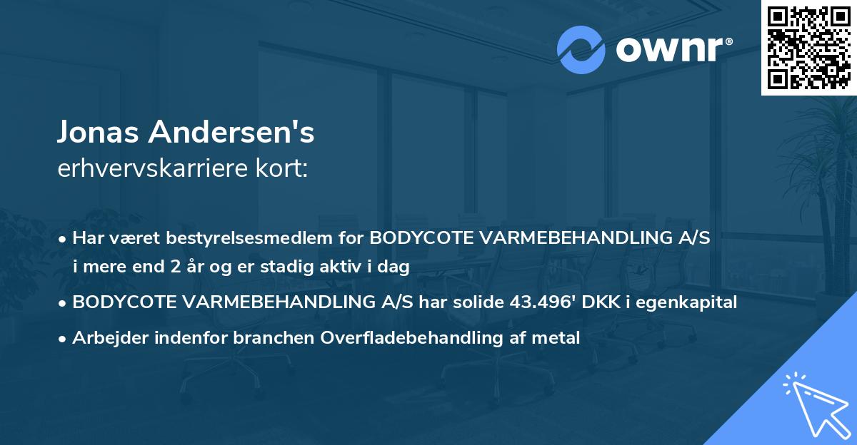 Jonas Andersen's erhvervskarriere kort