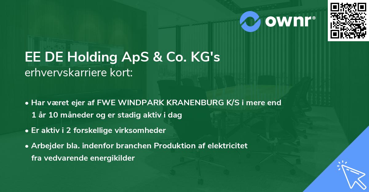 EE DE Holding ApS & Co. KG's erhvervskarriere kort
