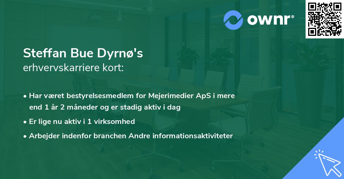 Steffan Bue Dyrnø's erhvervskarriere kort