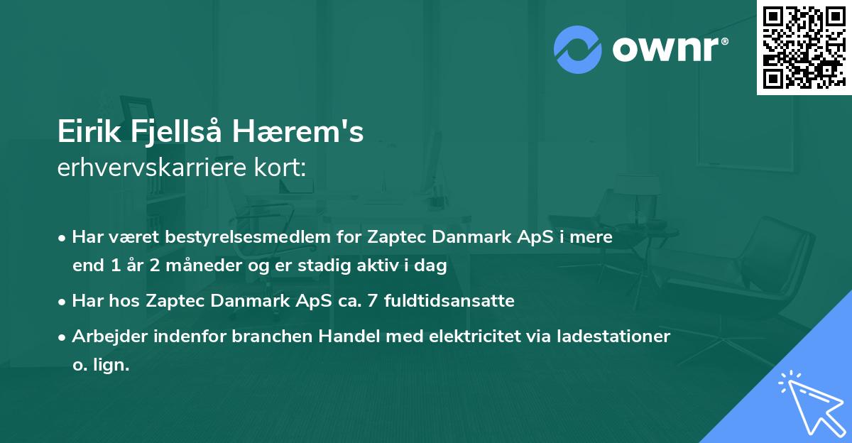 Eirik Fjellså Hærem's erhvervskarriere kort