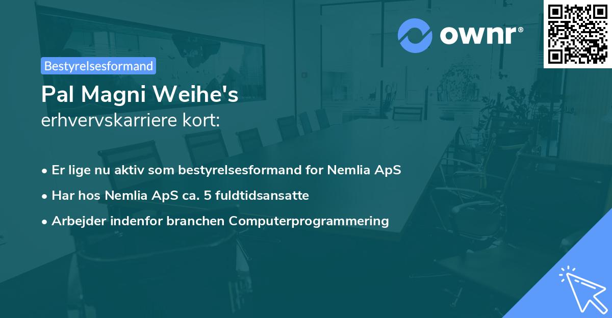 Pal Magni Weihe's erhvervskarriere kort