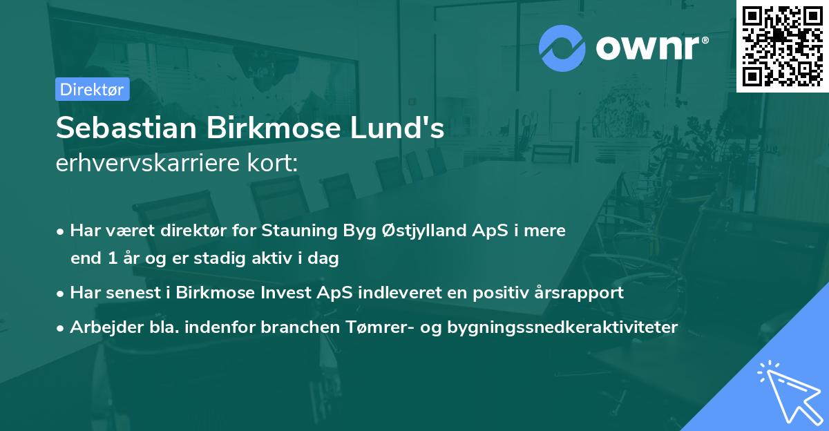 Sebastian Birkmose Lund's erhvervskarriere kort
