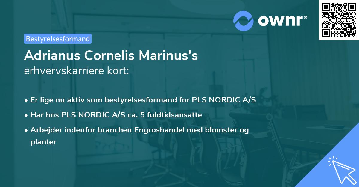 Adrianus Cornelis Marinus's erhvervskarriere kort