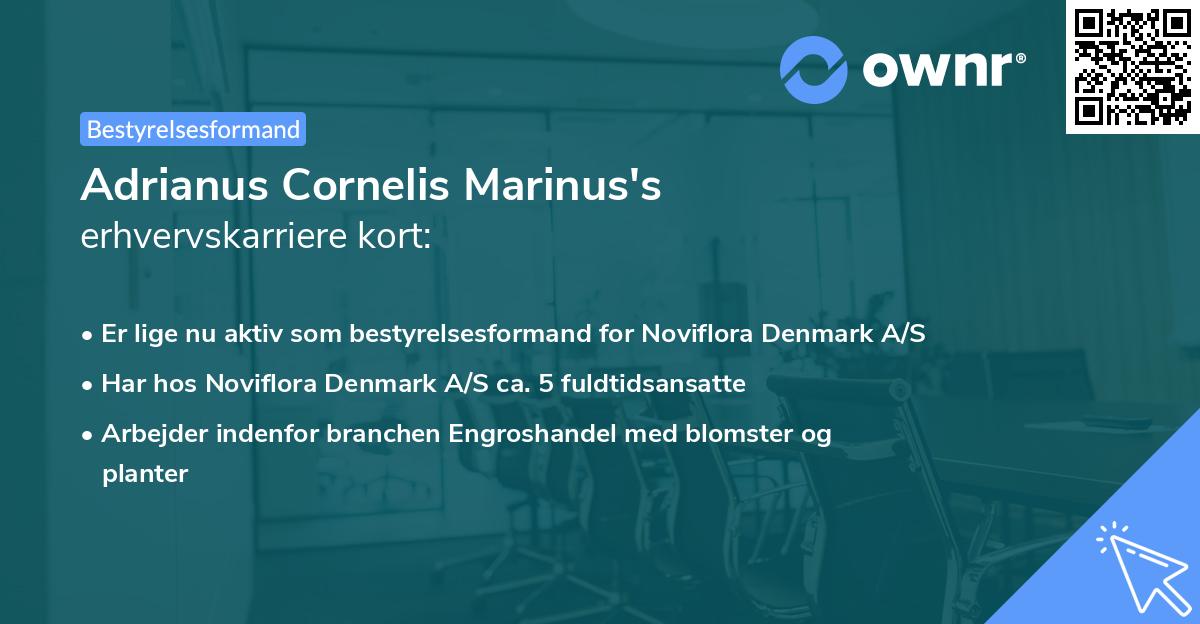 Adrianus Cornelis Marinus's erhvervskarriere kort