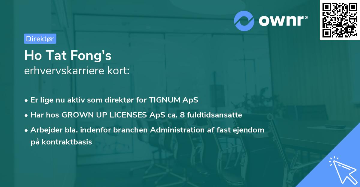 Ho Tat Fong's erhvervskarriere kort