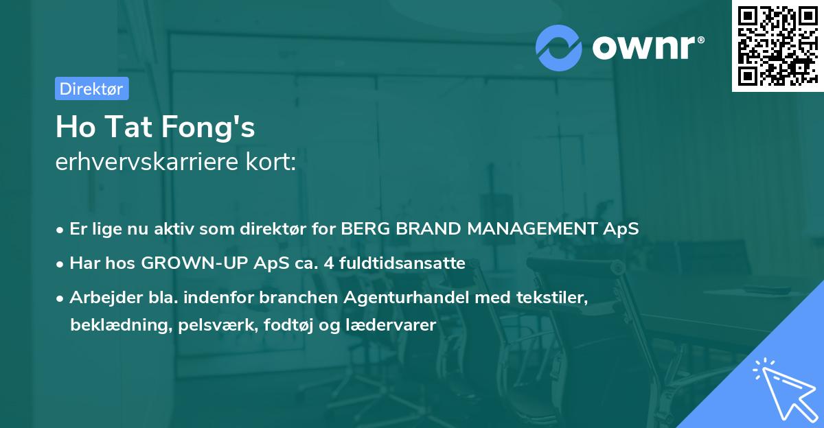 Ho Tat Fong's erhvervskarriere kort
