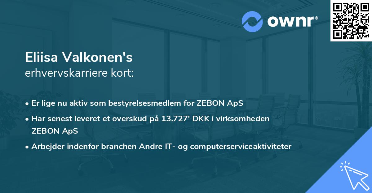 Eliisa Valkonen's erhvervskarriere kort