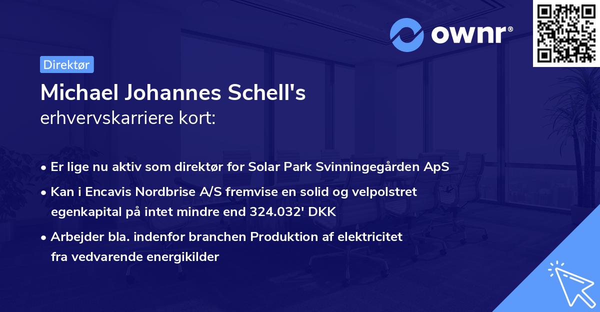 Michael Johannes Schell's erhvervskarriere kort