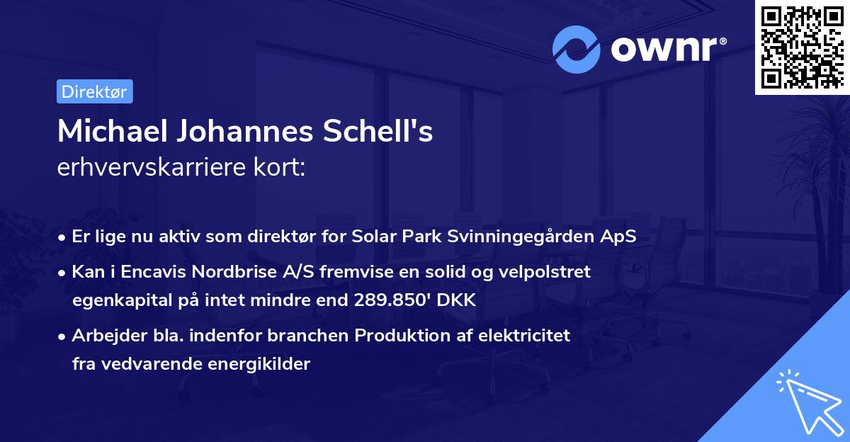 Michael Johannes Schell's erhvervskarriere kort