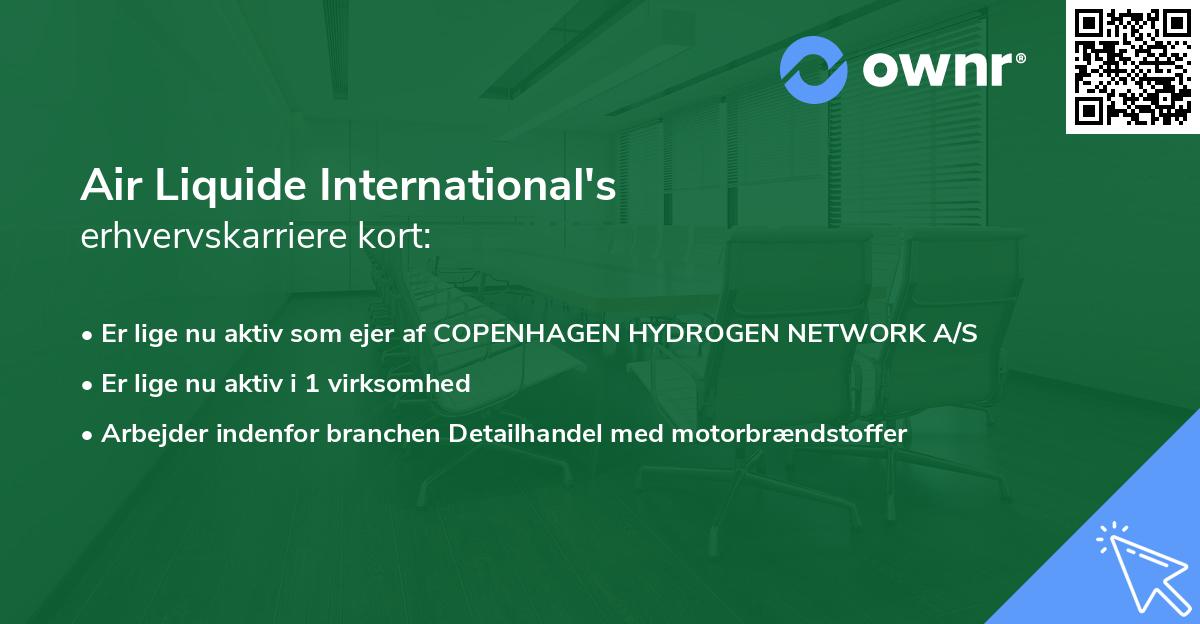 Air Liquide International's erhvervskarriere kort