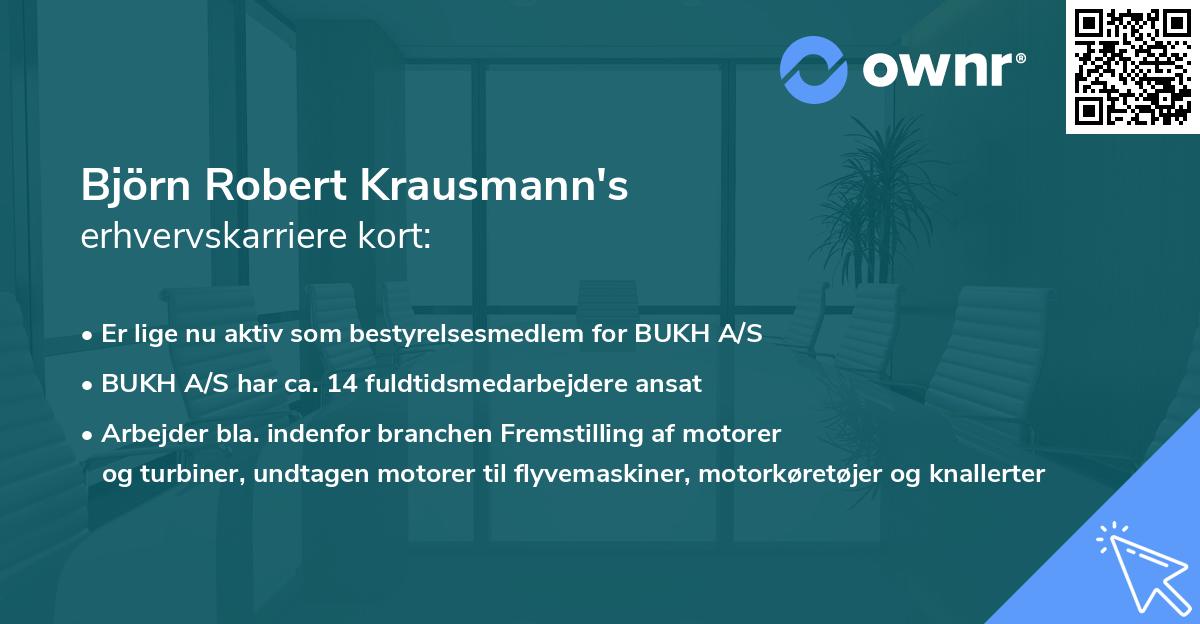 Björn Robert Krausmann's erhvervskarriere kort