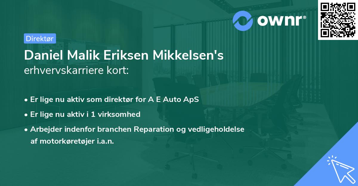Daniel Malik Eriksen Mikkelsen's erhvervskarriere kort