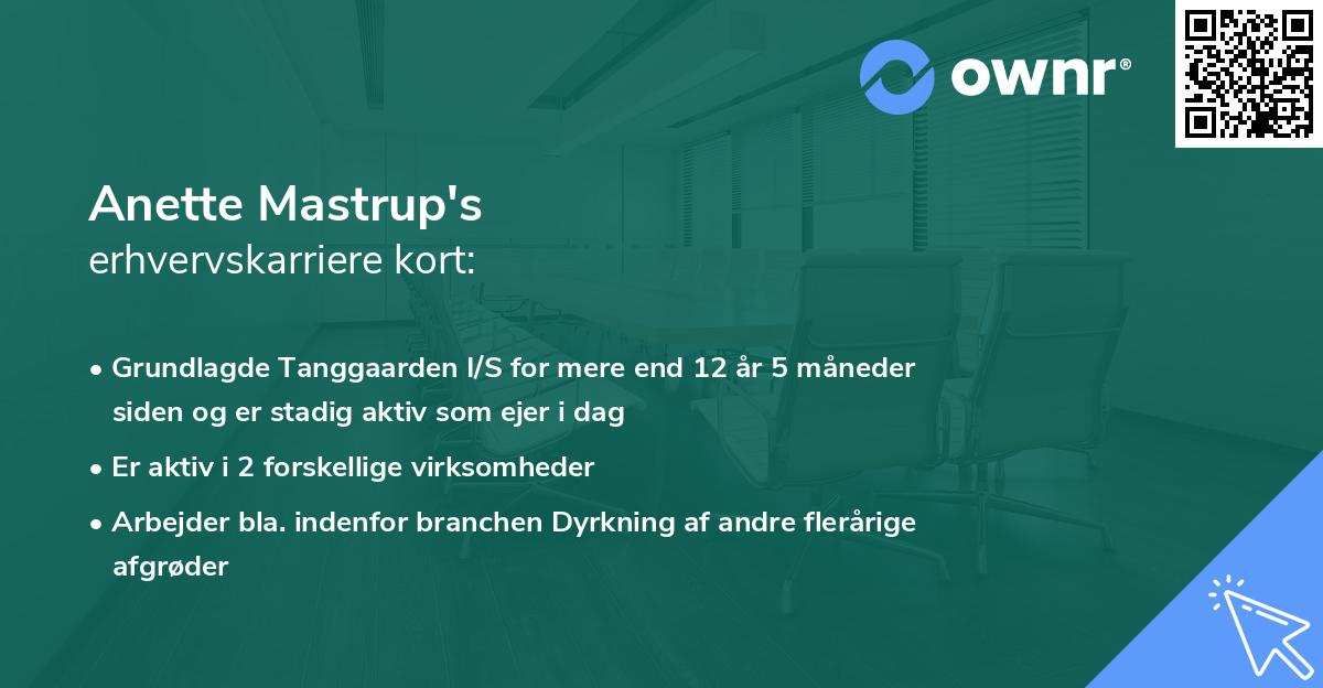 Anette Mastrup's erhvervskarriere kort