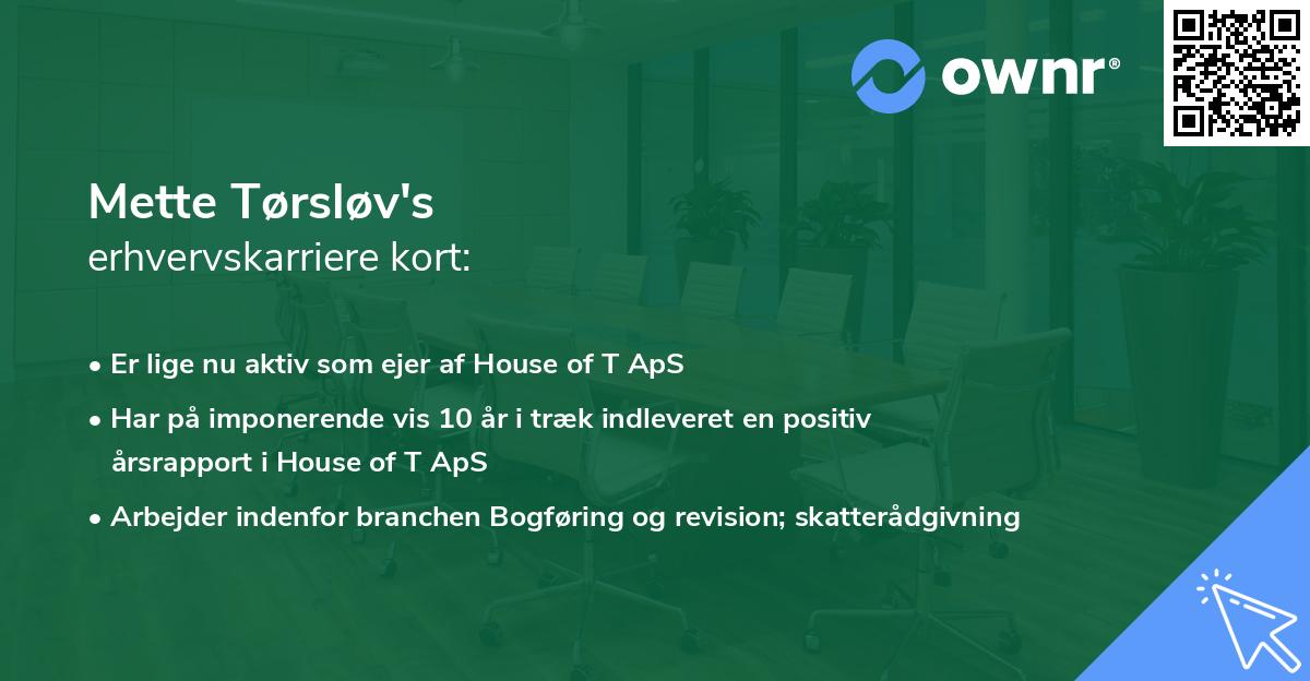 Mette Tørsløv's erhvervskarriere kort