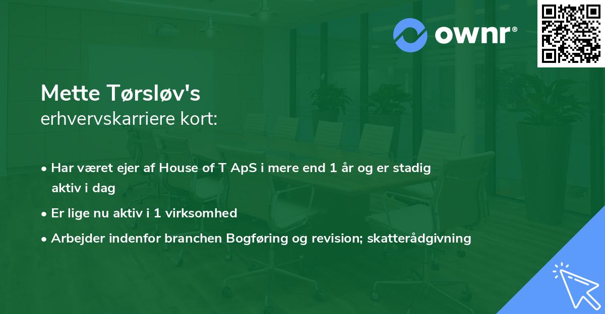 Mette Tørsløv's erhvervskarriere kort