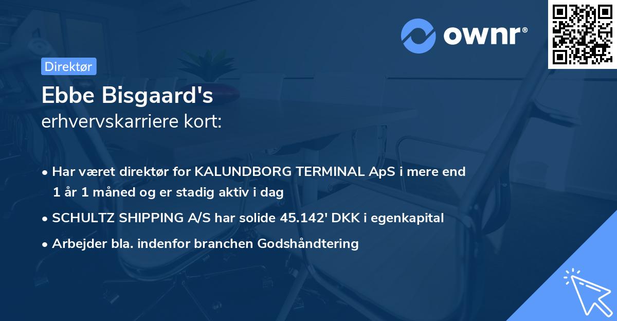 Ebbe Bisgaard's erhvervskarriere kort