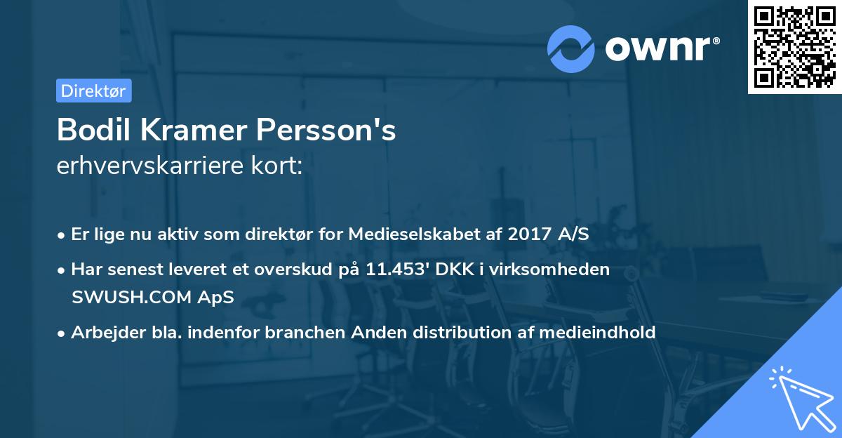 Bodil Kramer Persson's erhvervskarriere kort