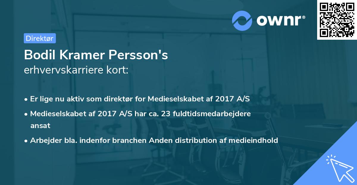 Bodil Kramer Persson's erhvervskarriere kort