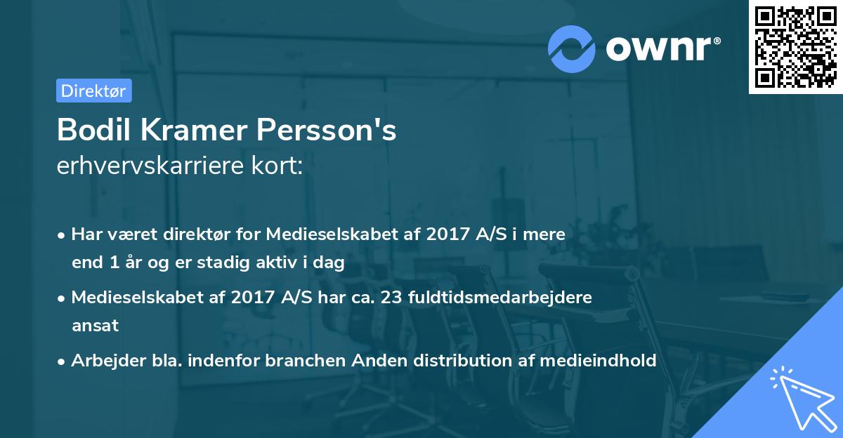 Bodil Kramer Persson's erhvervskarriere kort