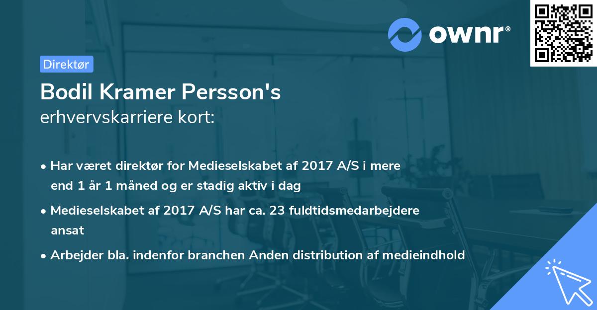 Bodil Kramer Persson's erhvervskarriere kort