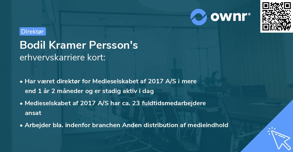 Bodil Kramer Persson's erhvervskarriere kort