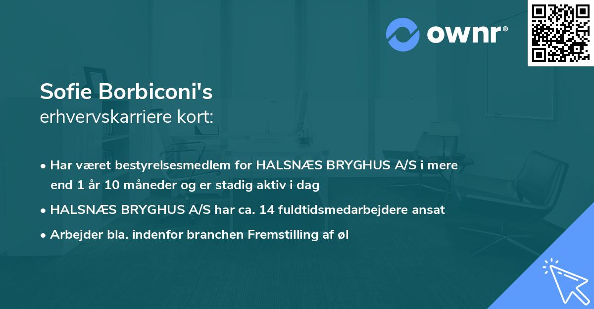 Sofie Borbiconi's erhvervskarriere kort