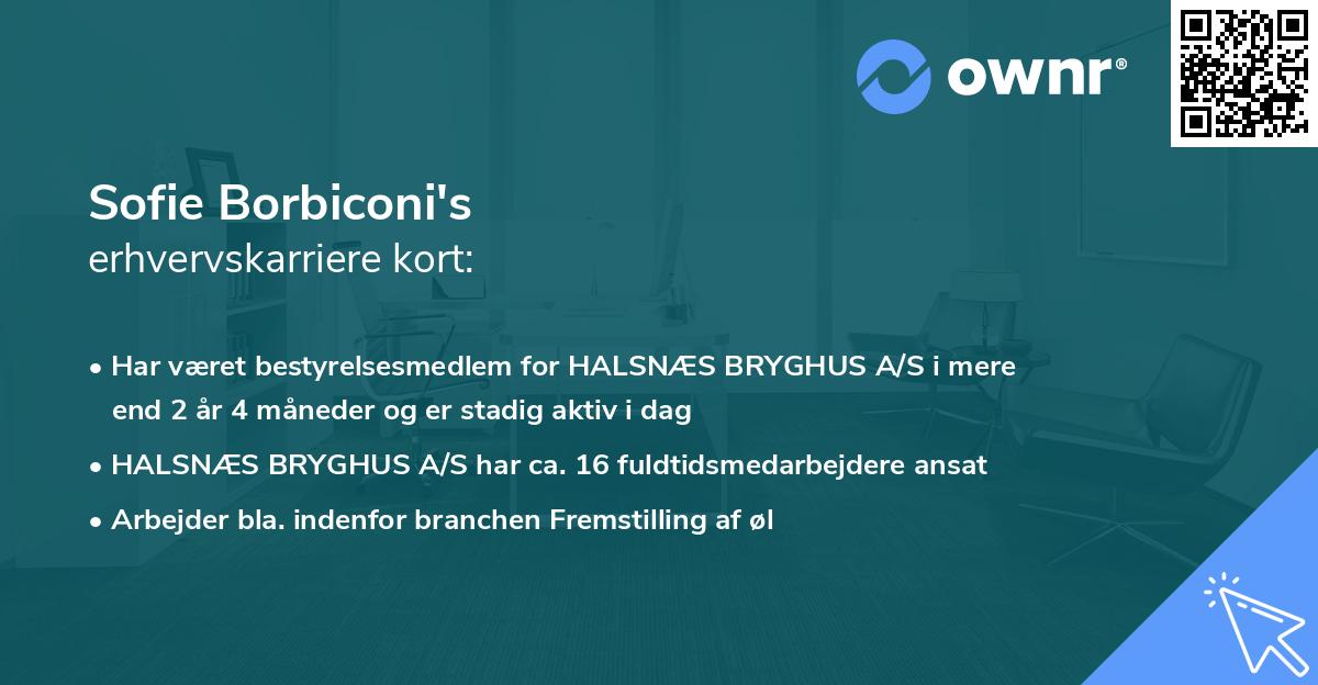 Sofie Borbiconi's erhvervskarriere kort