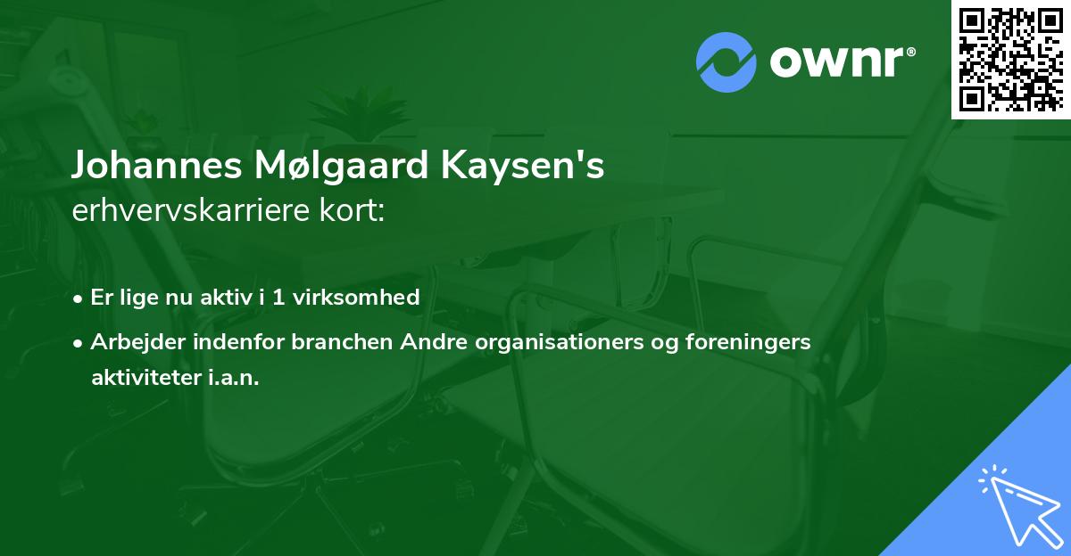 Johannes Mølgaard Kaysen's erhvervskarriere kort