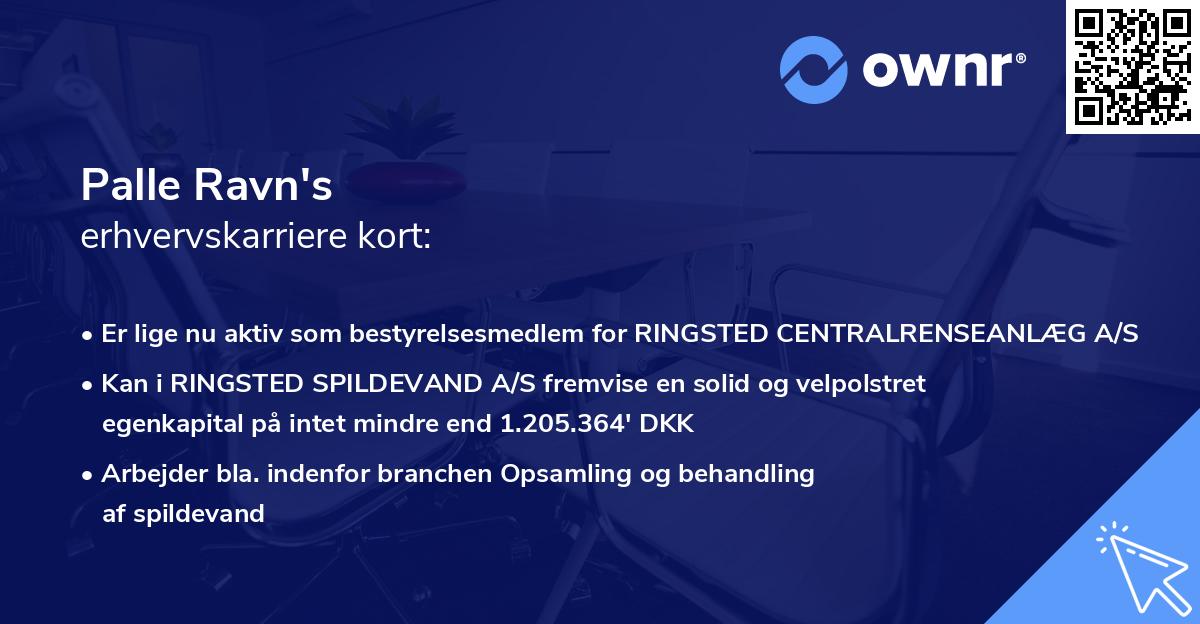 Palle Ravn's erhvervskarriere kort