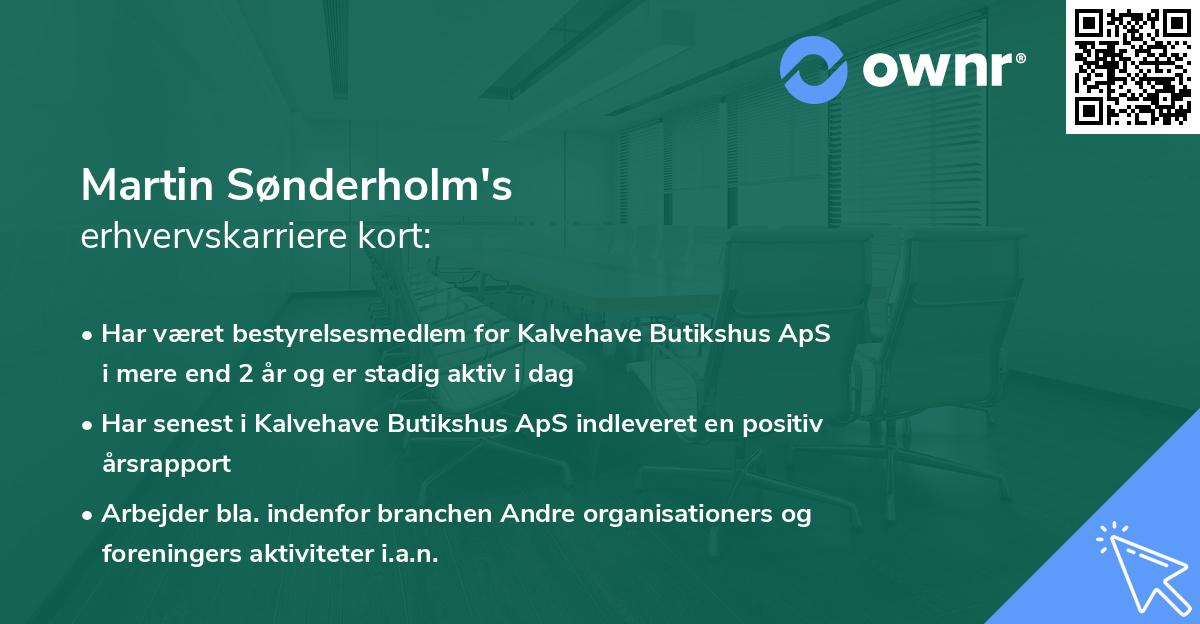 Martin Sønderholm's erhvervskarriere kort