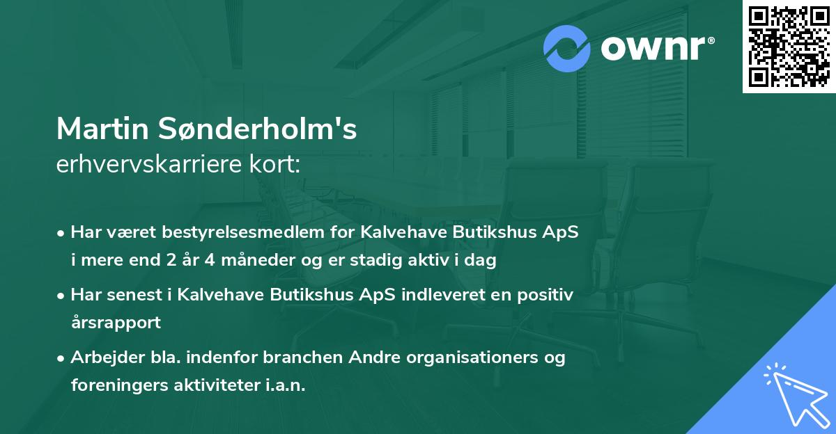Martin Sønderholm's erhvervskarriere kort