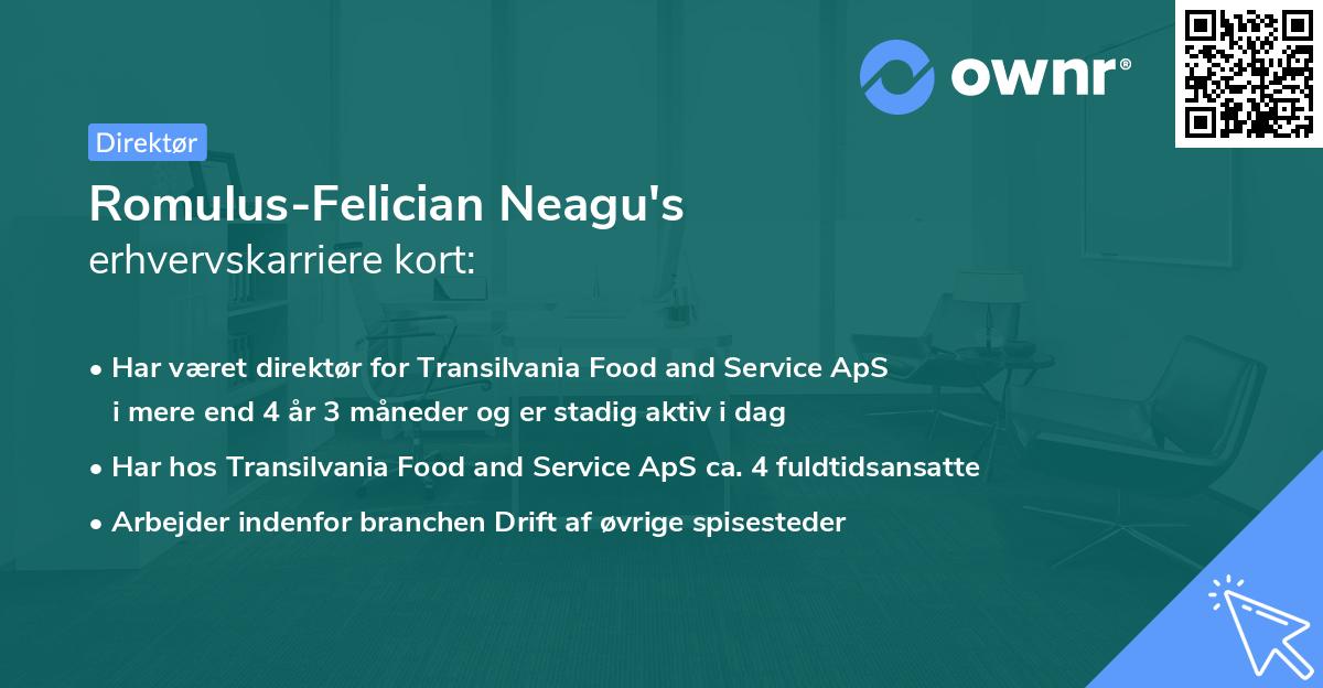 Romulus-Felician Neagu's erhvervskarriere kort