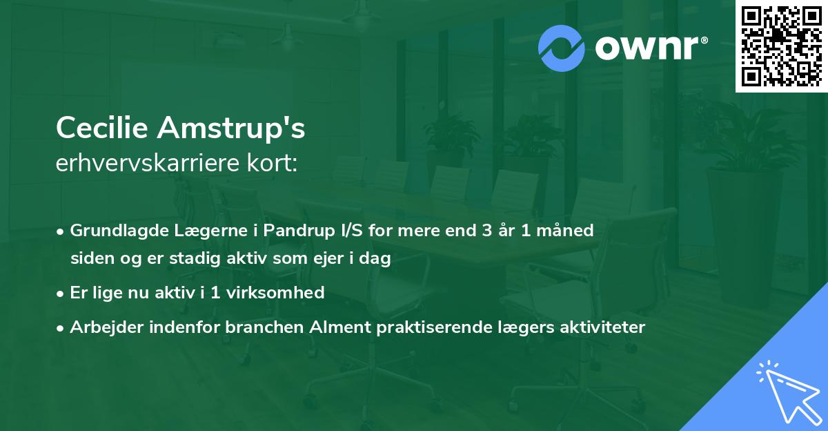Cecilie Amstrup's erhvervskarriere kort