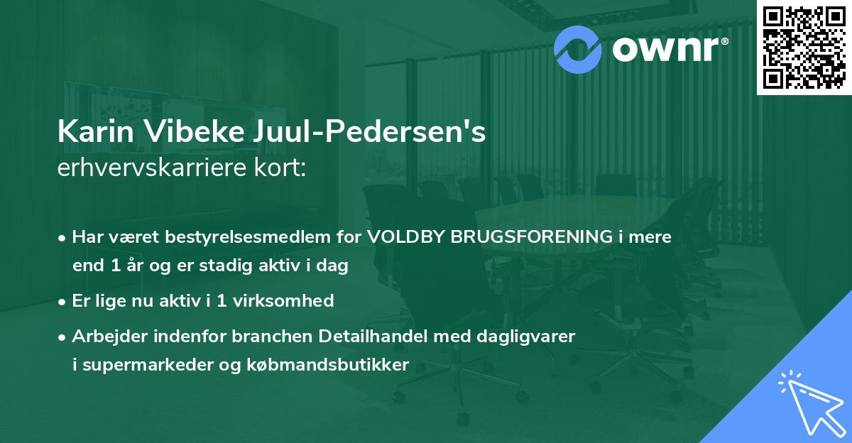 Karin Vibeke Juul-Pedersen's erhvervskarriere kort
