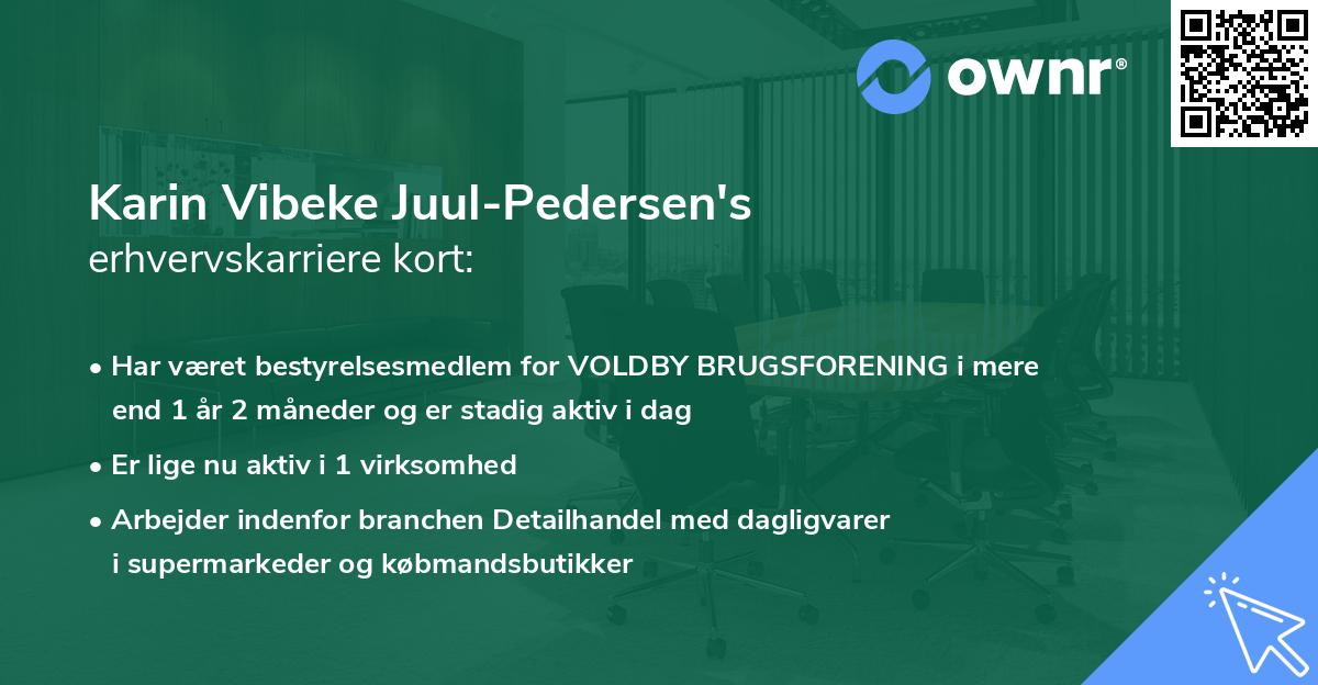 Karin Vibeke Juul-Pedersen's erhvervskarriere kort