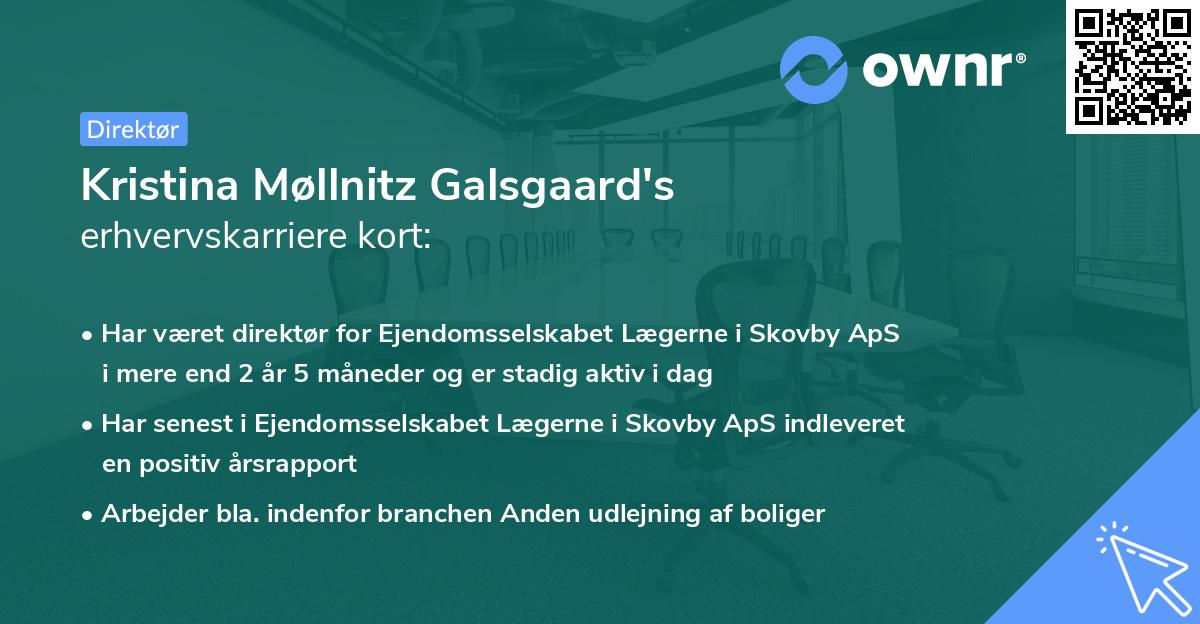 Kristina Møllnitz Galsgaard's erhvervskarriere kort