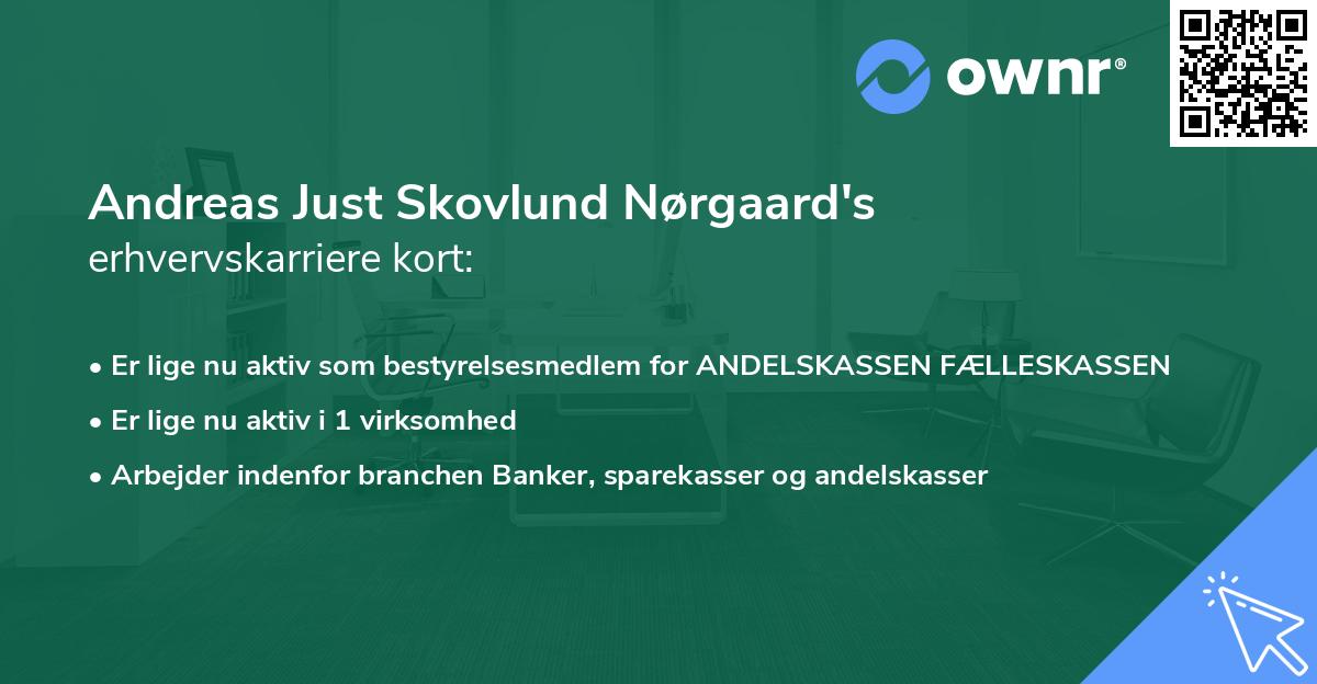 Andreas Just Skovlund Nørgaard's erhvervskarriere kort