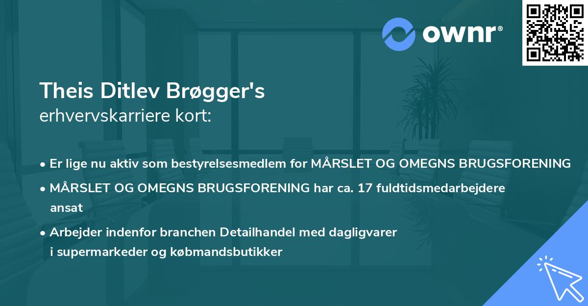 Theis Ditlev Brøgger's erhvervskarriere kort