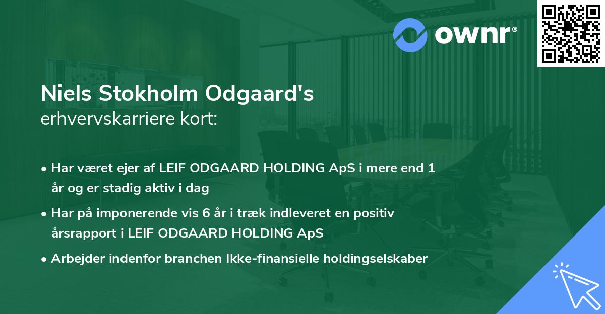 Niels Stokholm Odgaard's erhvervskarriere kort