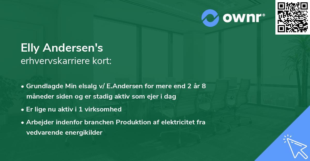 Elly Andersen's erhvervskarriere kort