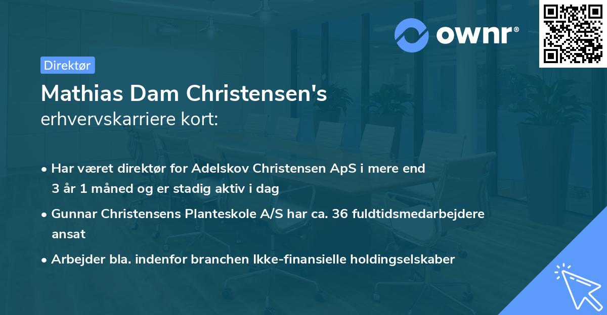 Mathias Dam Christensen's erhvervskarriere kort