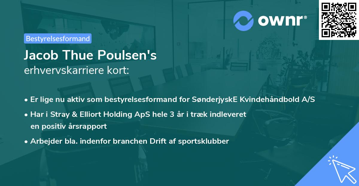 Jacob Thue Poulsen's erhvervskarriere kort