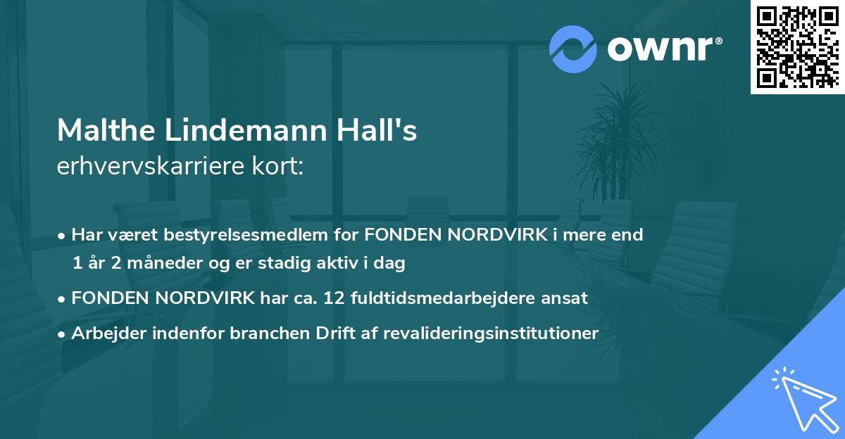 Malthe Lindemann Hall's erhvervskarriere kort