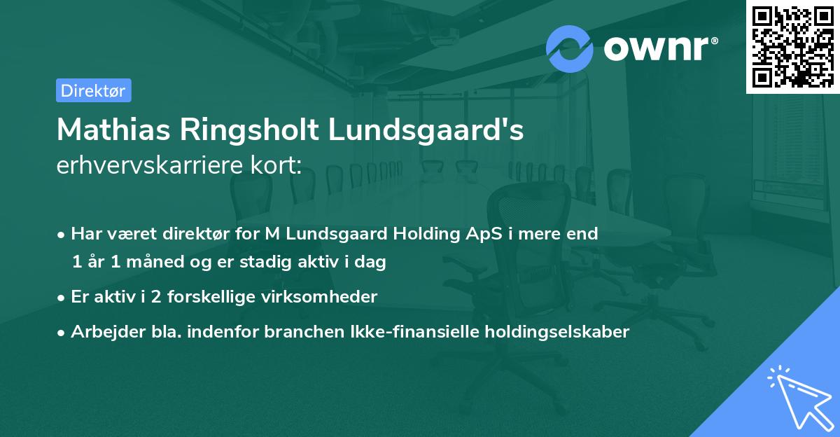 Mathias Ringsholt Lundsgaard's erhvervskarriere kort