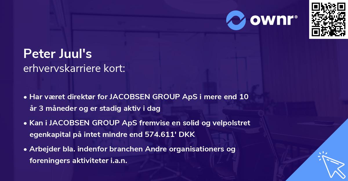 Peter Juul's erhvervskarriere kort