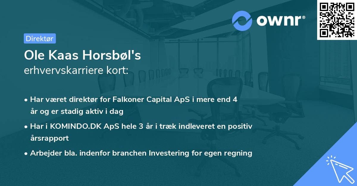 Ole Kaas Horsbøl's erhvervskarriere kort