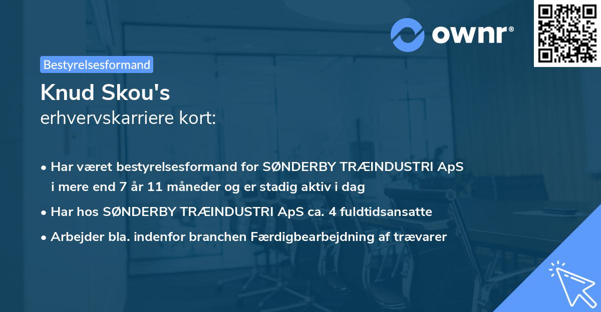 Knud Skou's erhvervskarriere kort