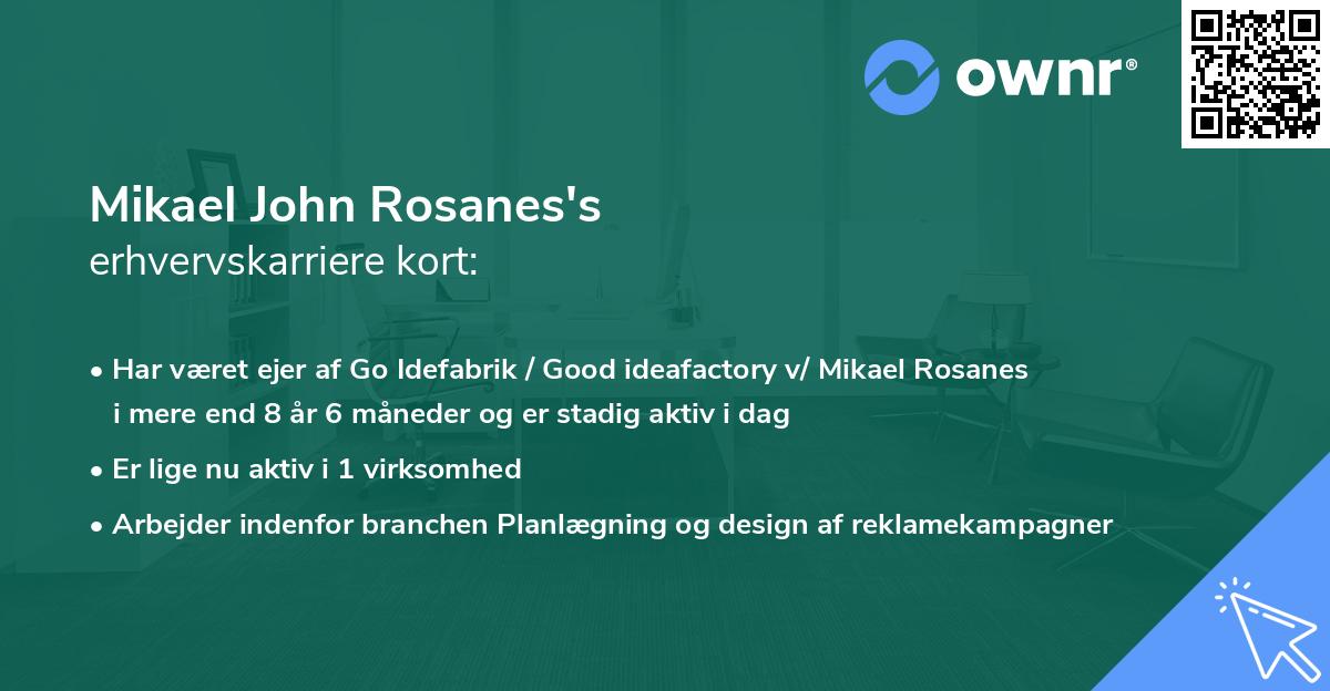 Mikael John Rosanes's erhvervskarriere kort