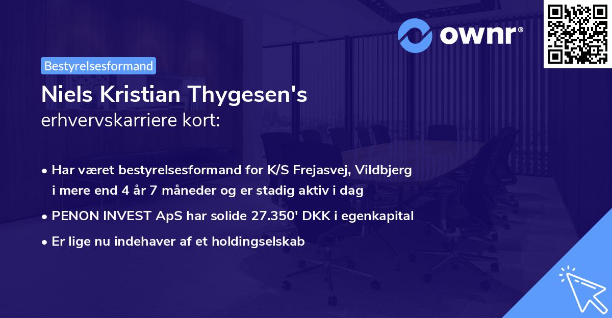 Niels Kristian Thygesen's erhvervskarriere kort